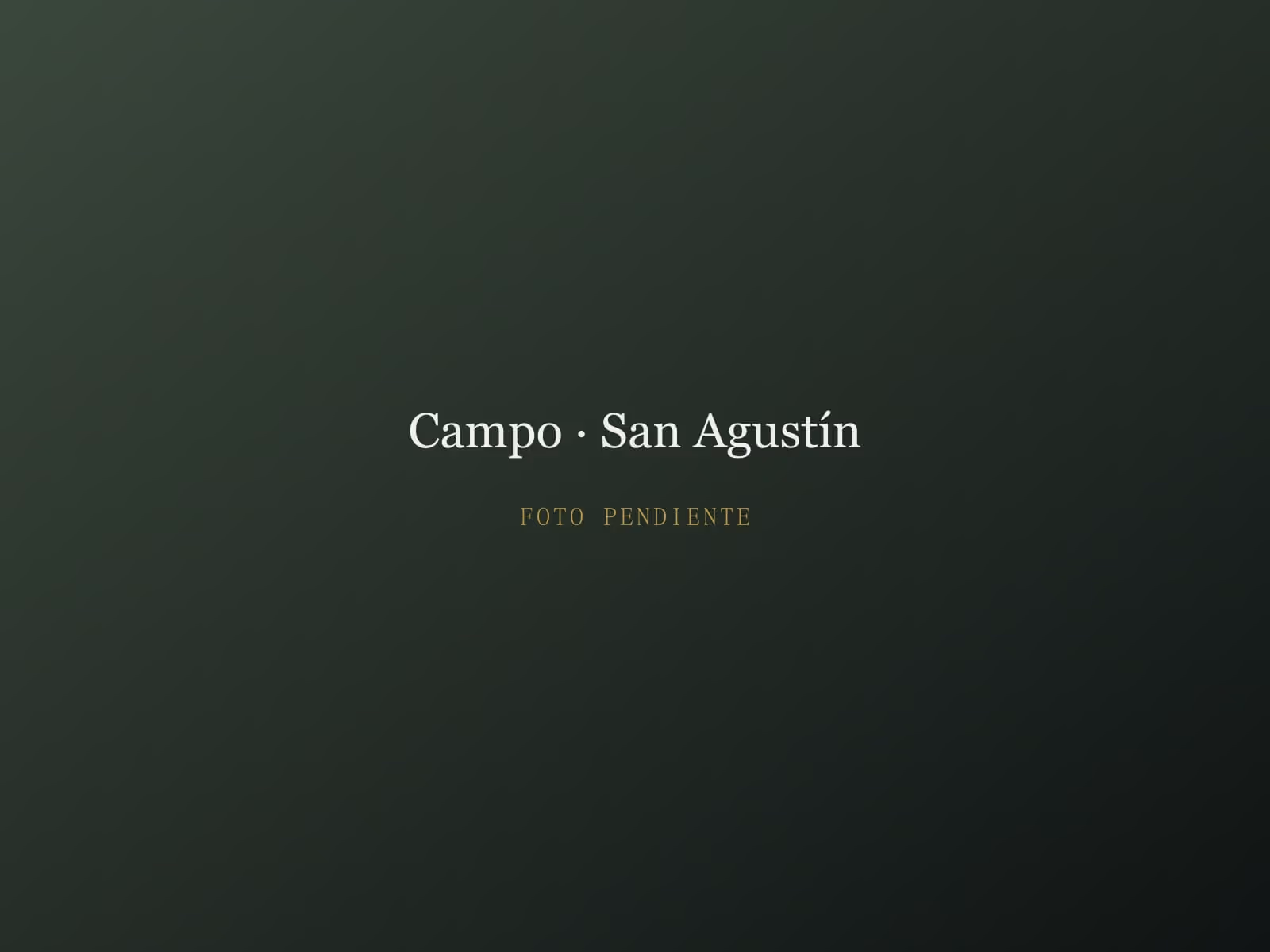 Vista de un terreno agrícola sembrado en venta en San Agustín, Balcarce