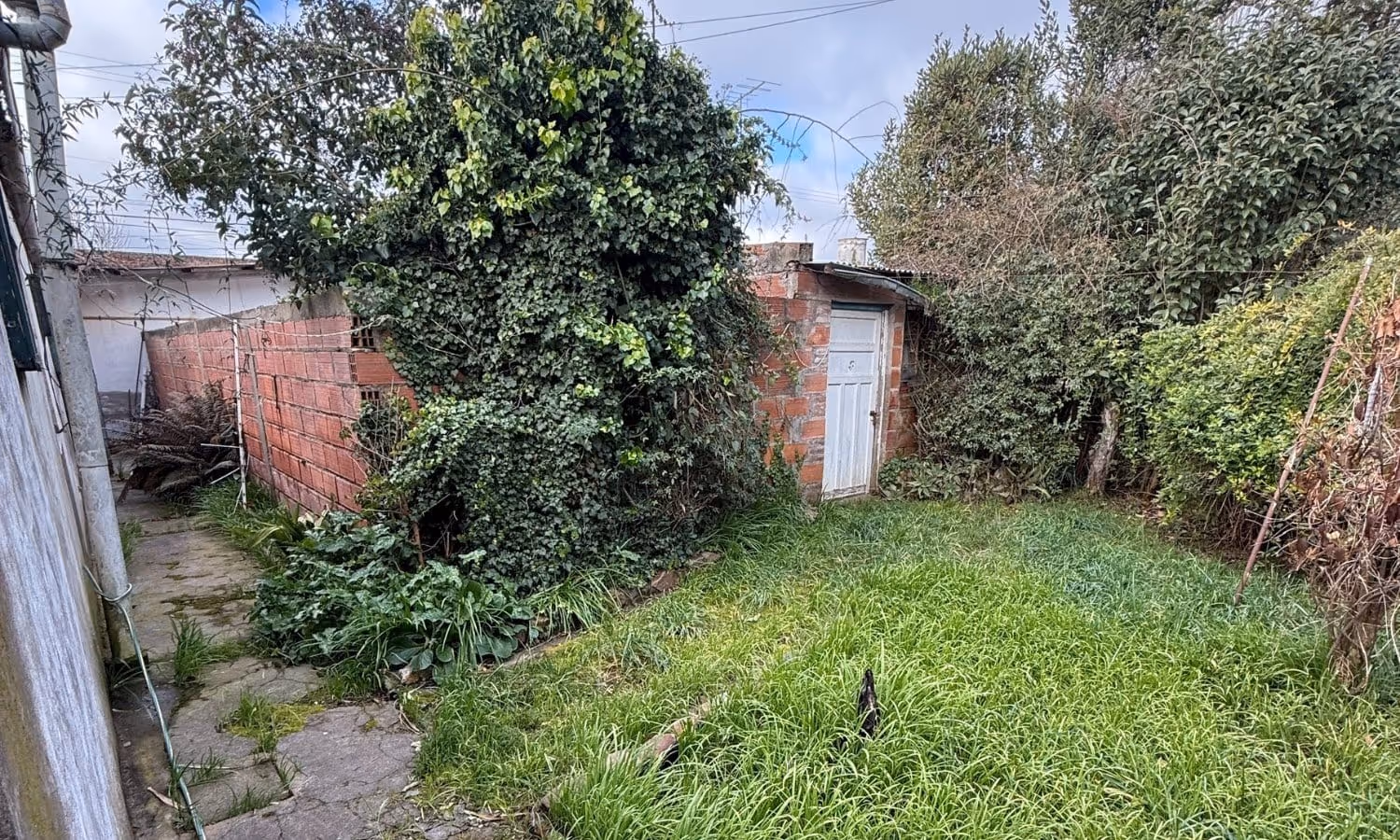 Casa en venta en Balcarce — foto 6