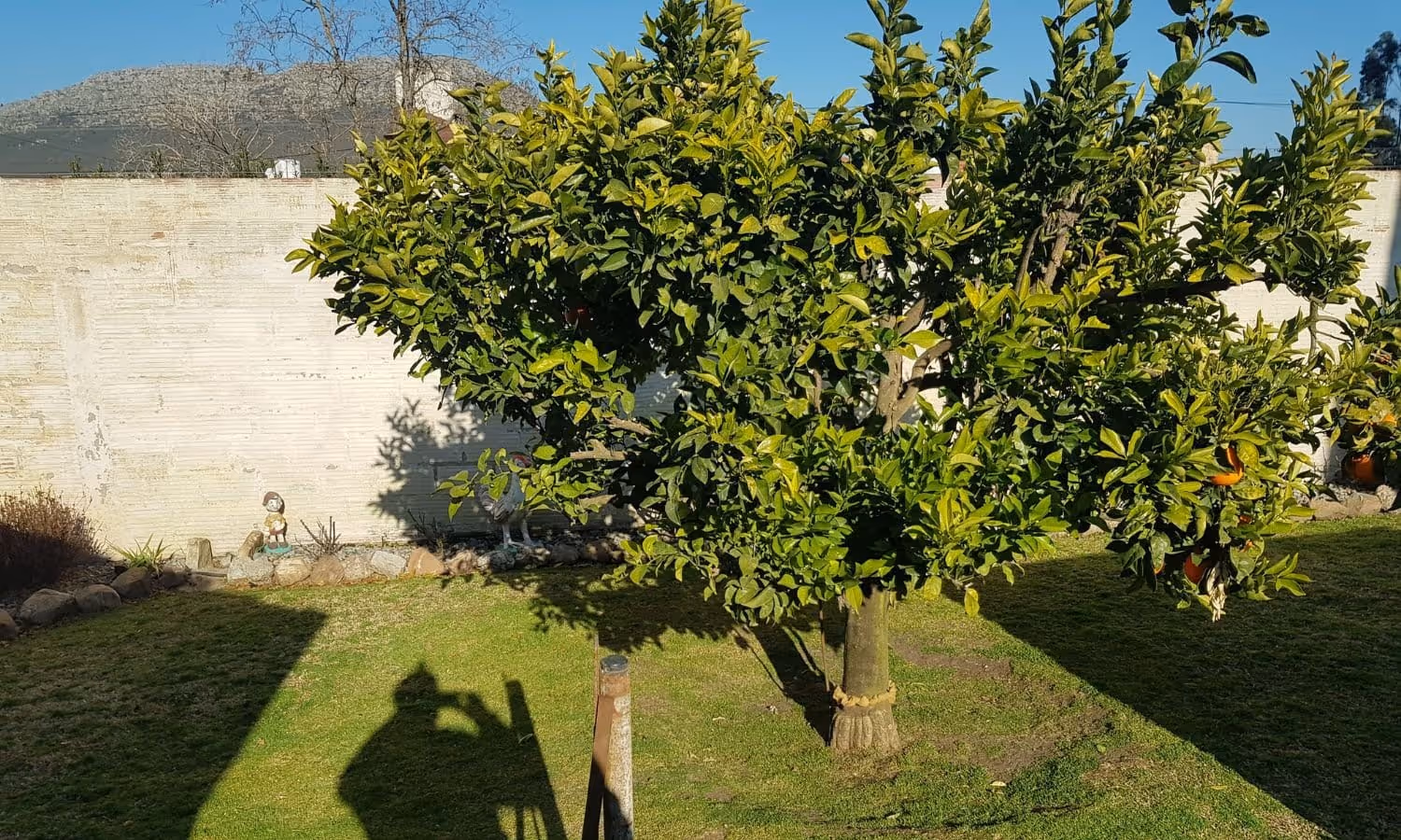 Casa en venta en Balcarce — foto 9