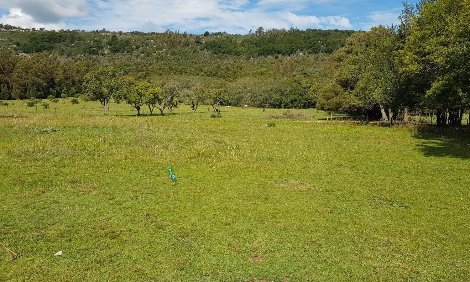 Complejo en venta en Balcarce — foto 9