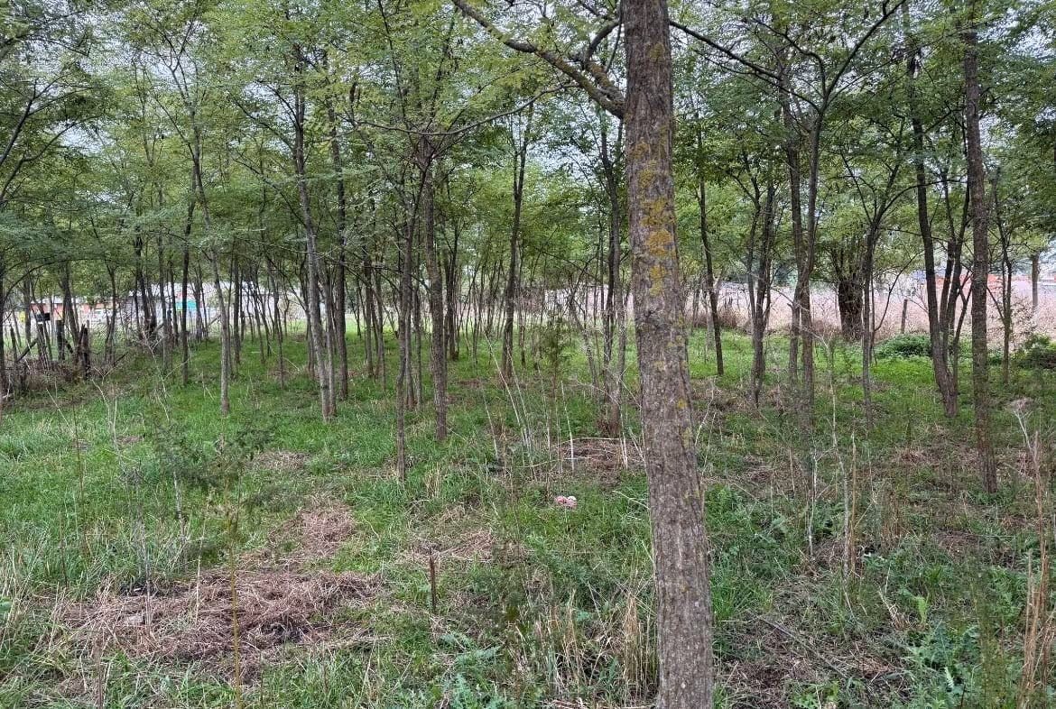 Lote en venta en Balcarce — foto 3