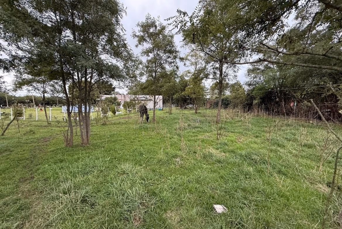 Lote en venta en Balcarce — foto 4