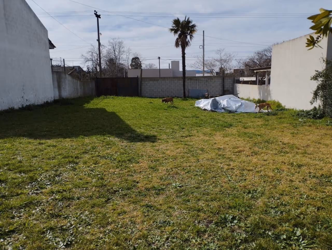 Lote en venta en Balcarce — foto 2