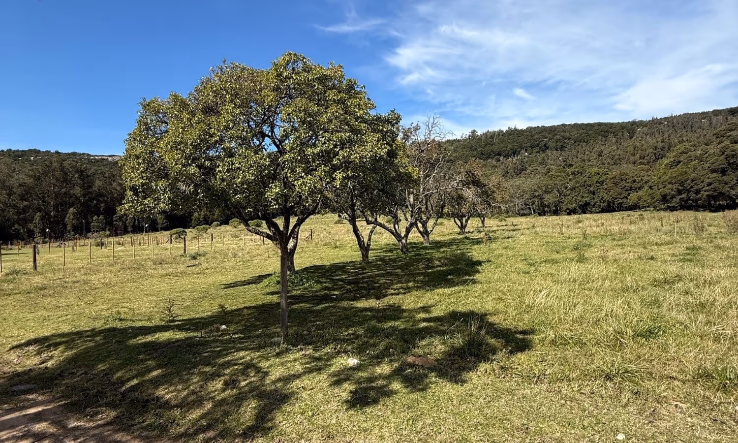 Lote en venta en Balcarce — foto 3
