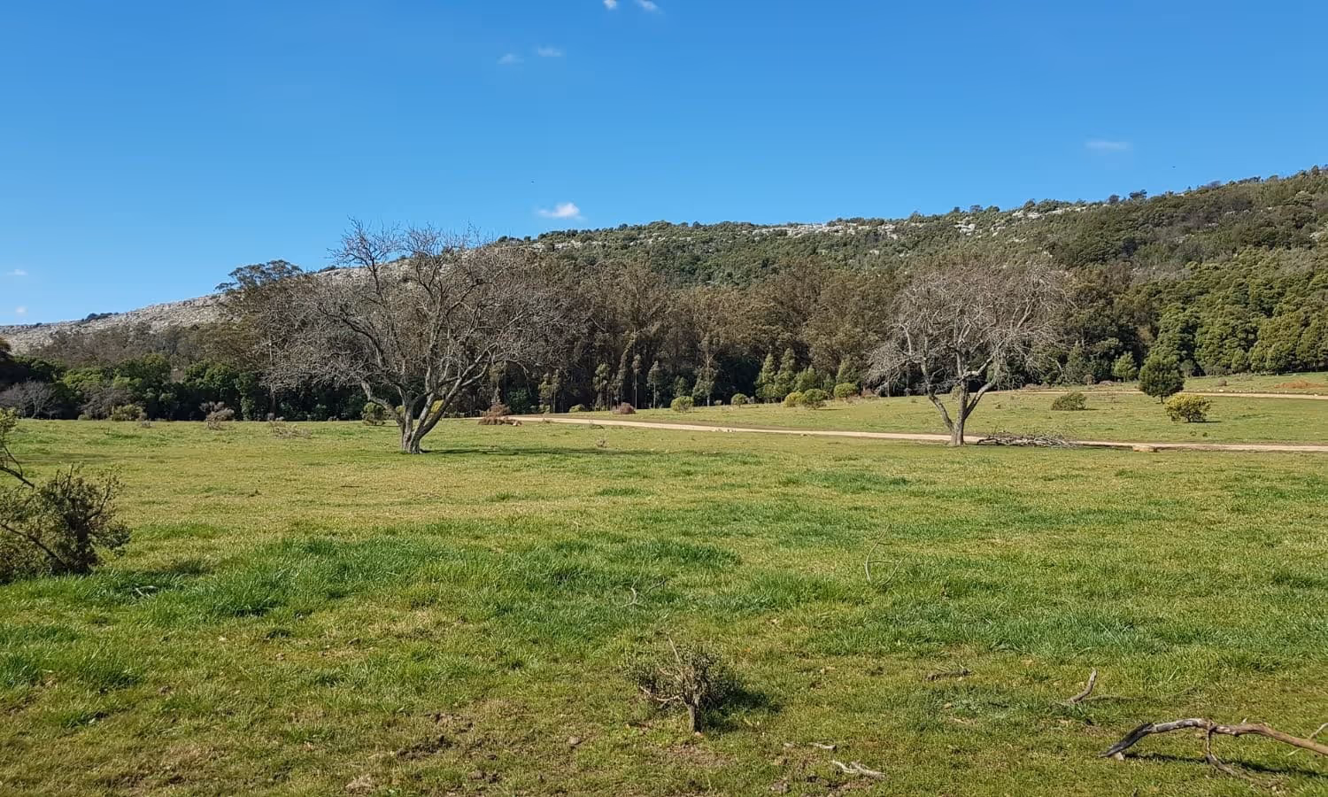 Lote en venta en Balcarce — foto 5