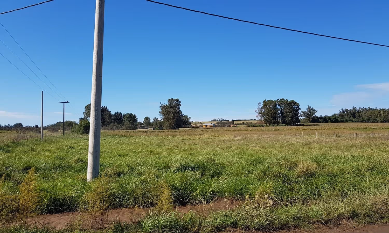 Lote en venta en Balcarce — foto 5