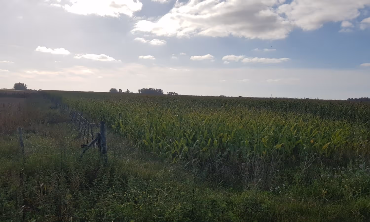 Campo en venta en San Agustín — foto 2